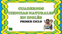 El siguiente material está pensado para alumnos que dan la asignatura de ciencia naturales en inglés o bien que prefieran repasar inglés a través del vocabulario y la temática propia […]