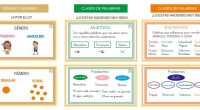 Os presento un material muy útil para trabajarlo en forma de llavero. Es importante tener un resumen esquematizado de las clases de palabras para memorizarlo y en tenderlo con mayor […]