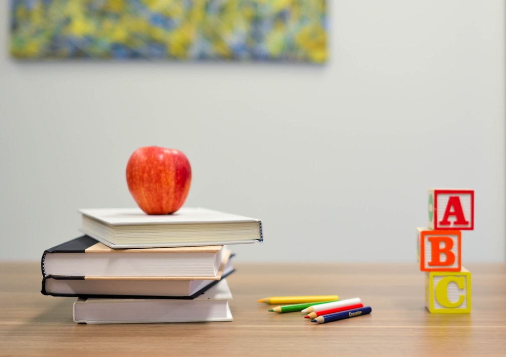 Las vacaciones de verano llegan a su fin, y como sucede cada año, los peques han de volver al colegio para seguir sus estudios. Más allá de las reticencias de […]