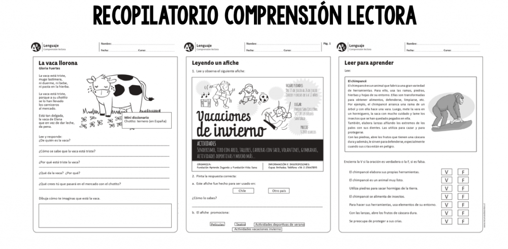 La comprensión lectora es la capacidad para entender lo que se lee, tanto en referencia al significado de las palabras que forman un texto, como con respecto a la comprensión […]