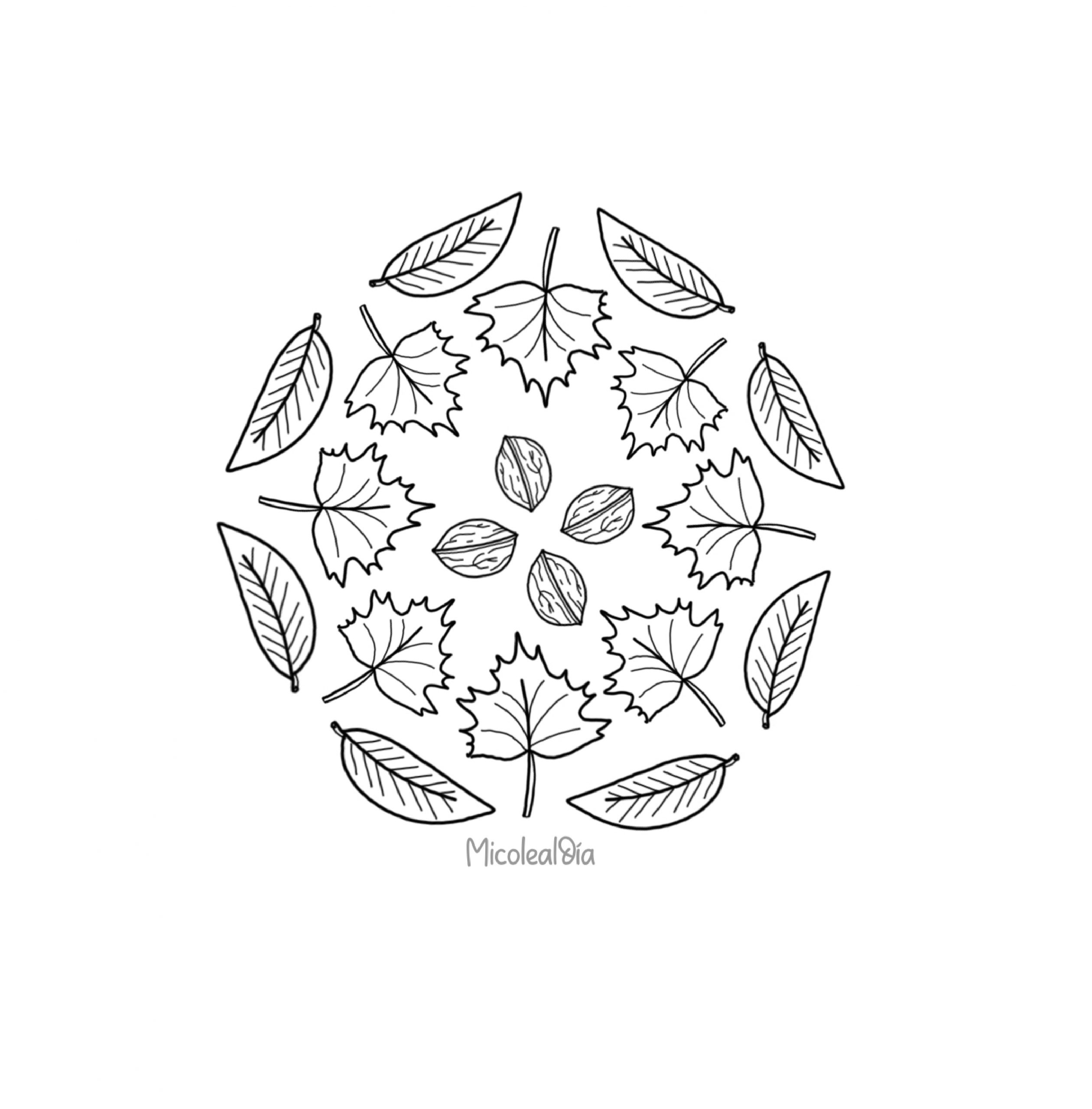 Mandalas-Otono_page-0002-scaled.jpg