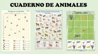 Buenas tardes. He estado trabajando en la creación de otro cuaderno, esta vez con la temática de los animales. El cuaderno cuenta con: – Averigua las coordenadas. – Coloca el […]