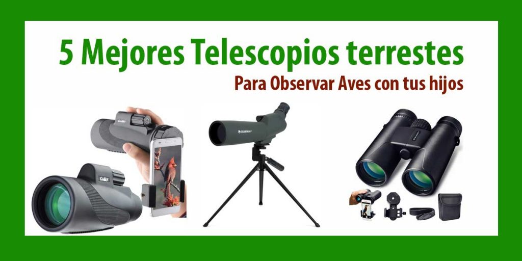 Estamos cansados de estar en casa sin poder movernos mucho, por culpa de los confinamientos, por ello queremos recomendaros estos cinco fantásticos telescopios y prismáticos terrestres con lo que ir […]