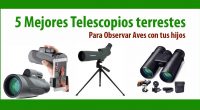 Estamos cansados de estar en casa sin poder movernos mucho, por culpa de los confinamientos, por ello queremos recomendaros estos cinco fantásticos telescopios y prismáticos terrestres con lo que ir […]