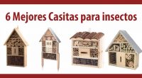 Nos encantan estas fantásticas casitas para insectos, y más a nuestros niños. Como siempre buscamos herramientas y juegos que les encanten a nuestros niños a la vez que aprendan, y […]