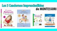 En esta ocasión queremos recomendaros para comprar en Amazon los 5 mejores cuadernos imprescindibles de Montessori para que nuestros niños aprendan de manera fácil a leer, escribir, ciencias y mucho […]