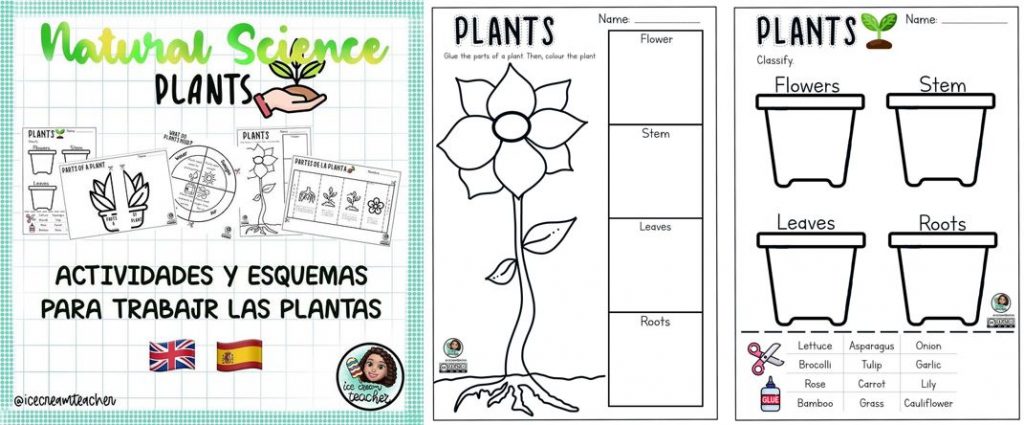 Hoy os traigo este recurso que nos comparte @icecreamteacher   por aquí el tema de las PLANTAS ? ? Son varias fichas que podemos utilizar a modo de esquema con la […]