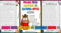 HOJAS PARA CONTROL DE LECTURA
