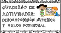 Os traemos de nuevo, una recopilación de las mejores actividades matemáticas para trabajar la descomposición numérica y el valor posicional; preparadas para repasar este verano con nuestros peques. 