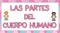 A continuación os traemos una serie de actividades para trabajar las distintas partes del cuerpo; en una primera parte los alumnos deben identificar y señalar la parte del cuerpo que […]