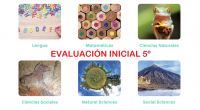 ENTRE HOY Y MAÑANA PUBLICAMOS EL RESTO DE CURSOS. Debemos destacar la función de la EVALUACIÓN INICIAL, como un  importante proceso a la hora de conocer a nuestros alumnos y que […]