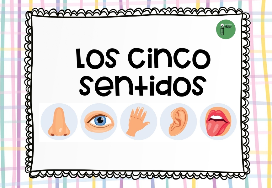los sentidos Archives - Orientación Andújar - Recursos Educativos los sentidos Archives - Orientación Andújar - Recursos Educativos