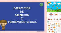 Prestar atención es la capacidad del niño de focalizar en una persona u objeto e ignorar o inhibir otros estímulos del ambiente que compiten por su atención. La atención está […]