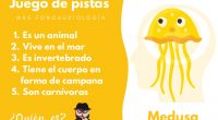 Este recurso está compuesto por una serie de tarjetas, cada una de las cuales contiene varias pistas que describen un animal u objeto específico. Los alumnos deberán leer y analizar […]