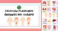 Hoy os comparto esta nueva colección de flashcards o tarjetas didácticas para trabajar los principales órganos del cuerpo.  Las tarjetas son doble faz. De un lado encontrarán el nombre del […]