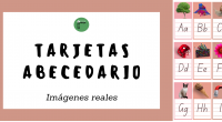 Os compartimos estas preciosas tarjetas para trabajar el abecedario. Contienen imágenes reales y las letras en imprenta mayúscula y minúscula. Es un excelente recurso para trabajar el orden de las […]