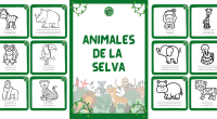 Hoy os compartimos esta bonita actividad de animales de la selva. Los niños deben colorear los animales y trazar sus nombres.  Consiste en 18 tarjetas que puedes unirlas en un […]