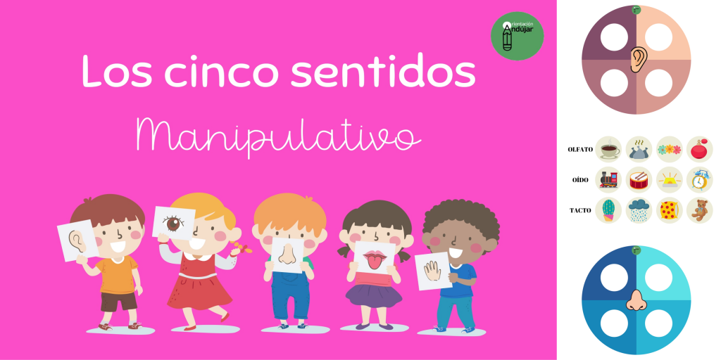 Hoy trabajamos los cinco sentidos de una manera manipulativa.  En cada ruleta debemos colocar las imágenes que más relación tengan con el sentido indicado en el centro.  Contamos, por lo […]