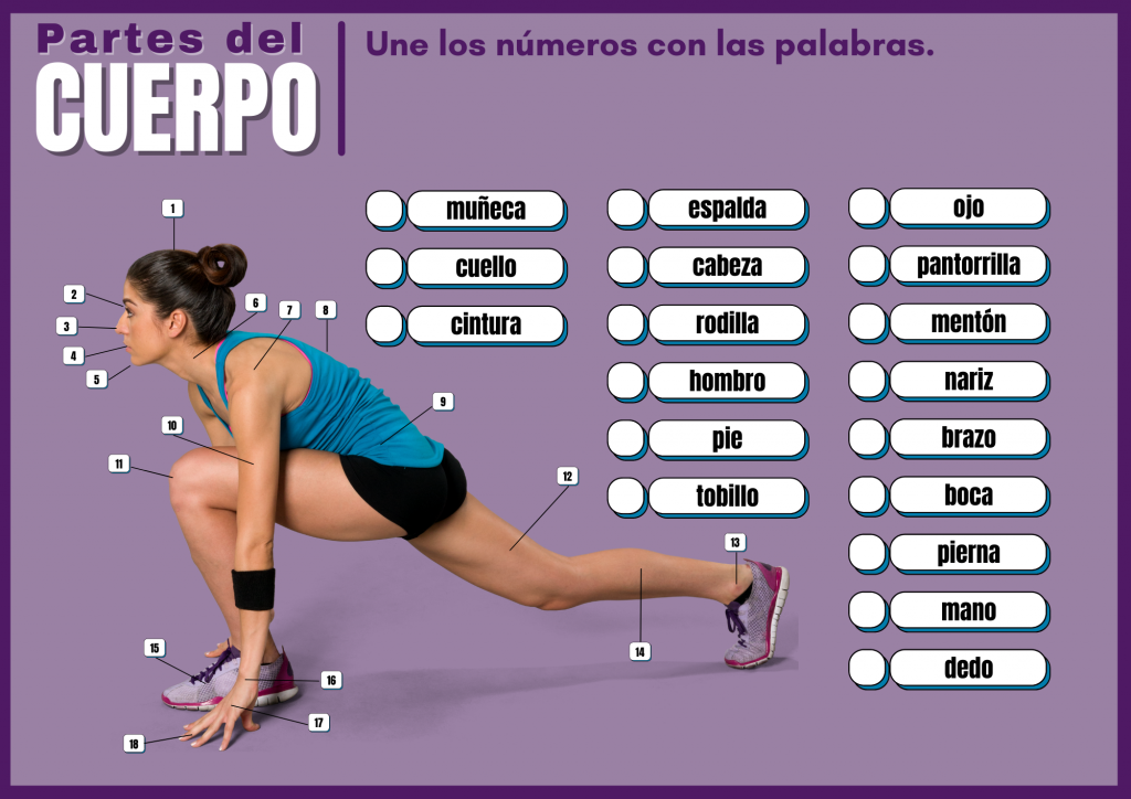 Existen diferentes actividades y juegos para conocer y aprender el cuerpo humano que se pueden utlizar con los más pequeños o bien en clase o en casa estos días. Estos […]