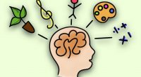 Las últimas investigaciones en la neurofisiología y en la psicología han dado como resultado un nuevo enfoque sobre cómo los seres humanos aprendemos: no existe una sola forma de aprender, cada persona […]