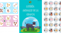 Con esta bonita lotería los niños trabajarán vocabulario de los animales de la granja y conteo hasta 6. Cada tablero tiene seis animales y cantidades distintos. Deben contar y colocar […]