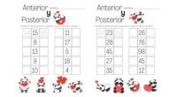 Fichas matemáticas para trabajar el número anterior y posterior de una cifra.    DESCARGA LAS FICHAS EN PDF anterior-y-posterior-pandas-corazones