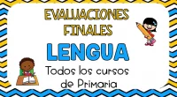 MATEMÁTICAS Evaluaciones finales para los cursos de Primaria Al finalizar las etapas de Educación Primaria y de Educación Secundaria se realizará una evaluación final individualizada de carácter muestral (solo se […]