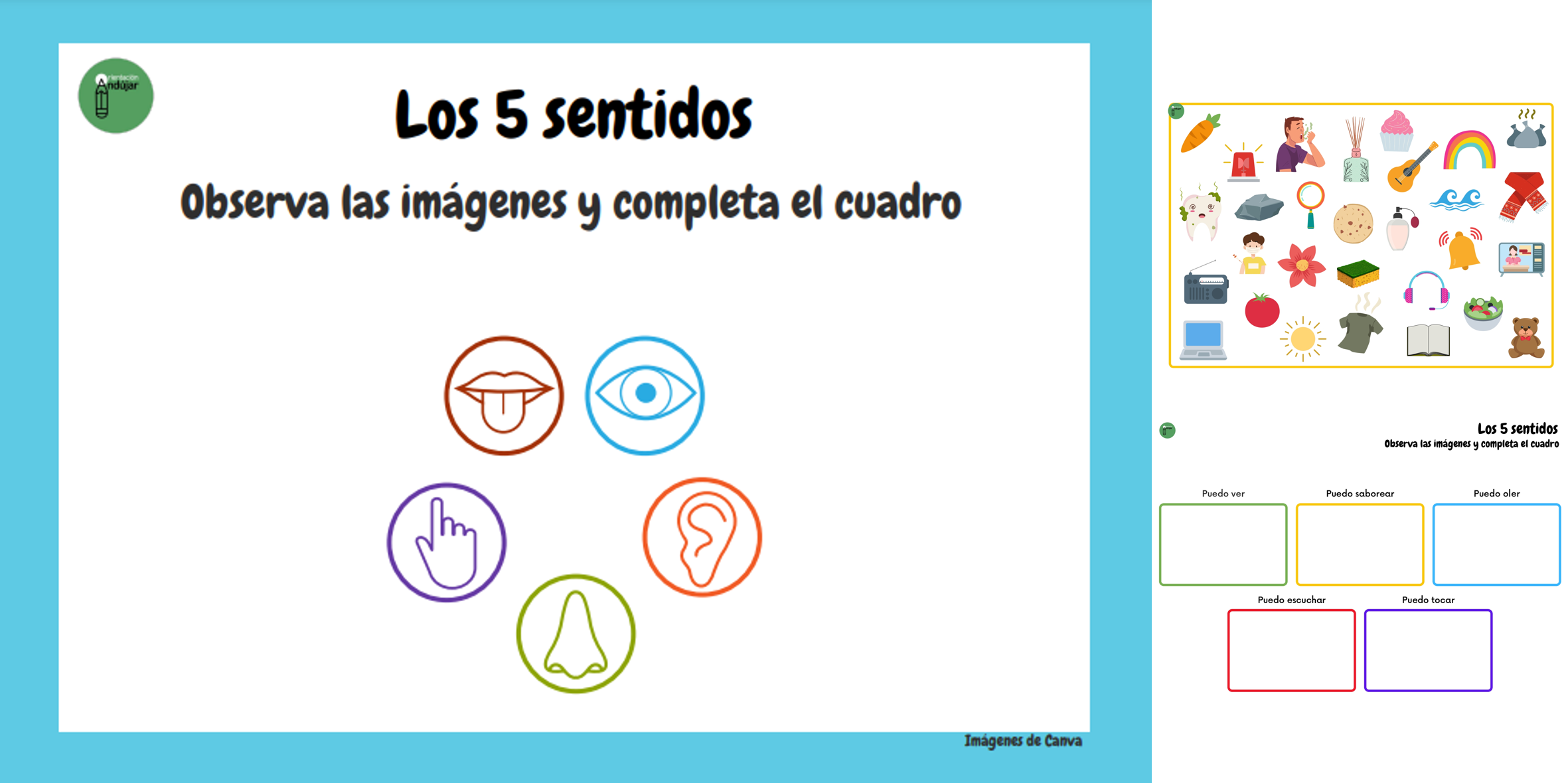 ideología Gracias por tu ayuda Ejecutante caja de los 5 sentidos para