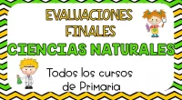 MATEMÁTICAS Evaluaciones finales para los cursos de Primaria Al finalizar las etapas de Educación Primaria y de Educación Secundaria se realizará una evaluación final individualizada de carácter muestral (solo se […]