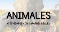 Hoy traigo para compartirles divertidas propuestas sobre el tema ANIMALES con imágenes reales.  En este pack encontrarán:⠀ ? Las tres conciencias.⠀ ? Imágenes y sombras.⠀ ? Nombres desordenados   Actividades variadas Animales