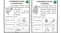 Hemos creado unas sencillas comprensiones lectoras para los más pequeños, destinadas al primer ciclo y a la iniciación de lecturas comprensivas de textos.  Cada texto trata sobre un animal diferente y […]