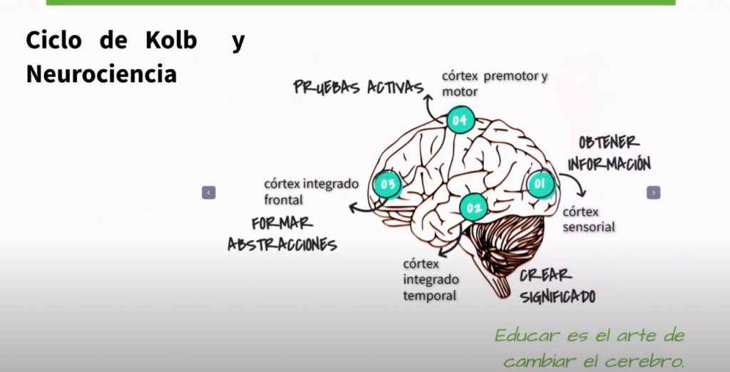 La Teorı́a del Aprendizaje Experiencial (“Experiential Learning Theory”) de David A. Kolb (1976) se centra en el papel clave que juega la experiencia en el proceso de aprendizaje. Desde este […]