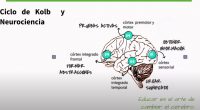 La Teorı́a del Aprendizaje Experiencial (“Experiential Learning Theory”) de David A. Kolb (1976) se centra en el papel clave que juega la experiencia en el proceso de aprendizaje. Desde este […]