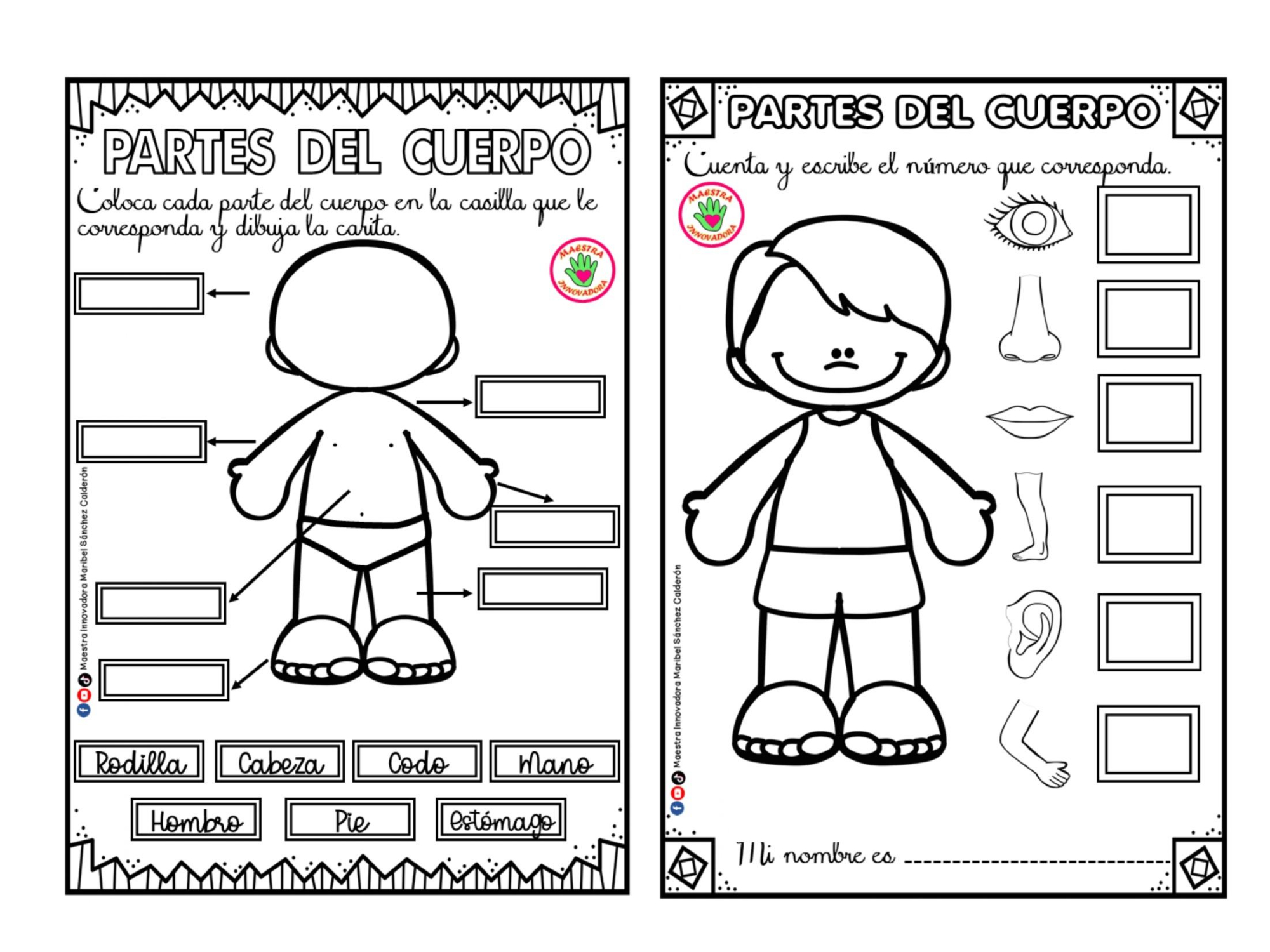 Partes Del Cuerpo Para Colorear