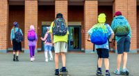 Las mochilas escolares juveniles se han tenido que ir adaptando en el tiempo a una serie de ventajas para la salud y el bienestar de cada uno de nosotros, entre […]