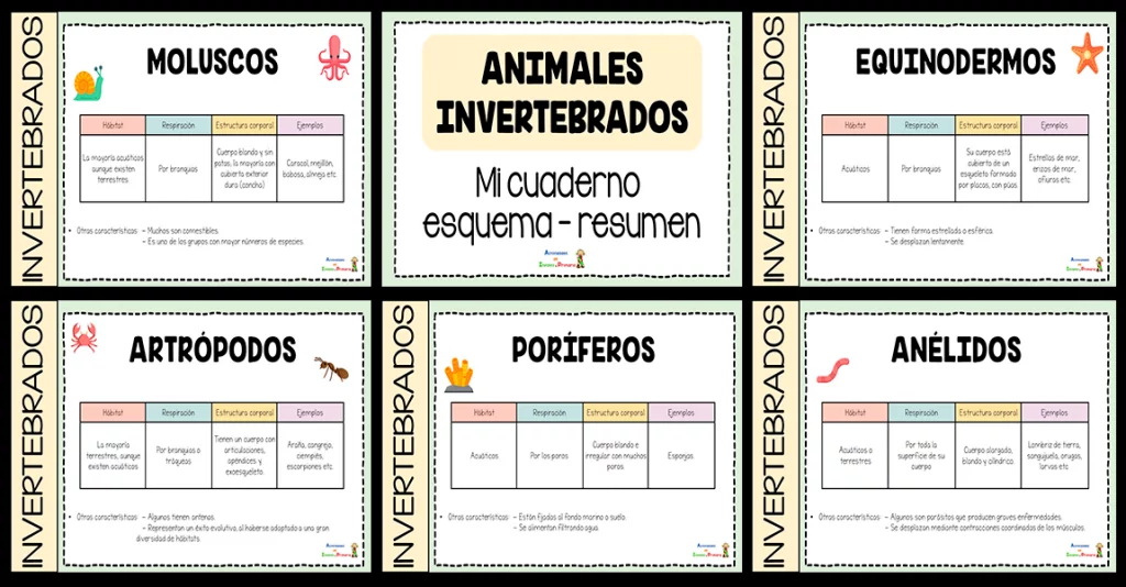 de invertebrados que se pueden explicar en primaria: Insectos: Son el tipo de invertebrado más abundante y diverso del planeta. Se caracterizan por tener tres pares de patas y un […]