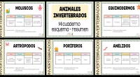 de invertebrados que se pueden explicar en primaria: Insectos: Son el tipo de invertebrado más abundante y diverso del planeta. Se caracterizan por tener tres pares de patas y un […]