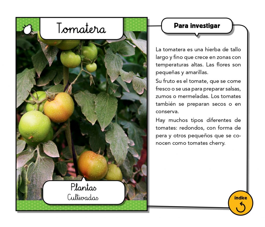 Tarjetas De Información Médica De Emergencia PARTH IMPEX - Pack De 25, Tamaño Tarjeta De Visita, Papel Grueso 700 G/m²