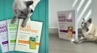 Estos cuadernos, preparados por el equipo de profesores de Orientación Andújar, proponen más de 100 actividades para iniciarse en las matemáticas de una manera autónoma.   Fotos realizadas por https://www.iphotosuar.com/ Dirigidos […]