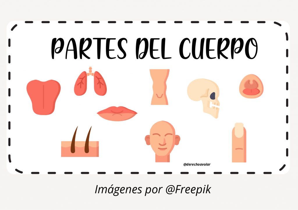 Hoy os traigo una material recién salido del horno… se trata del vocabulario de las partes del cuerpo. Tenía ganas de hacer algo relacionado con esta temática ya que además […]