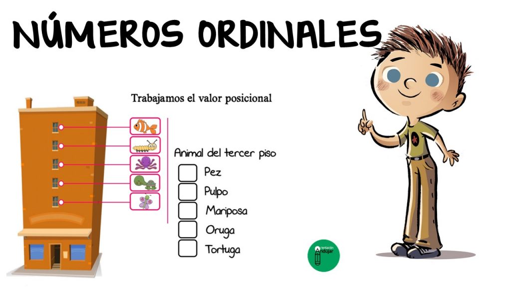 Actividad ilustrativa para trabajar los números ordinales Con esta divertida actividad donde nuestros alumnos deben de señalar que animal está en el piso que le preguntamos, vamos a trabajar el valor posicional y los números ordinales.