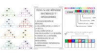 Los números naturales y las operaciones matemáticas básicas, como la suma, la resta, la multiplicación y la división, son los cimientos sobre los cuales se construyen todos los conceptos matemáticos […]