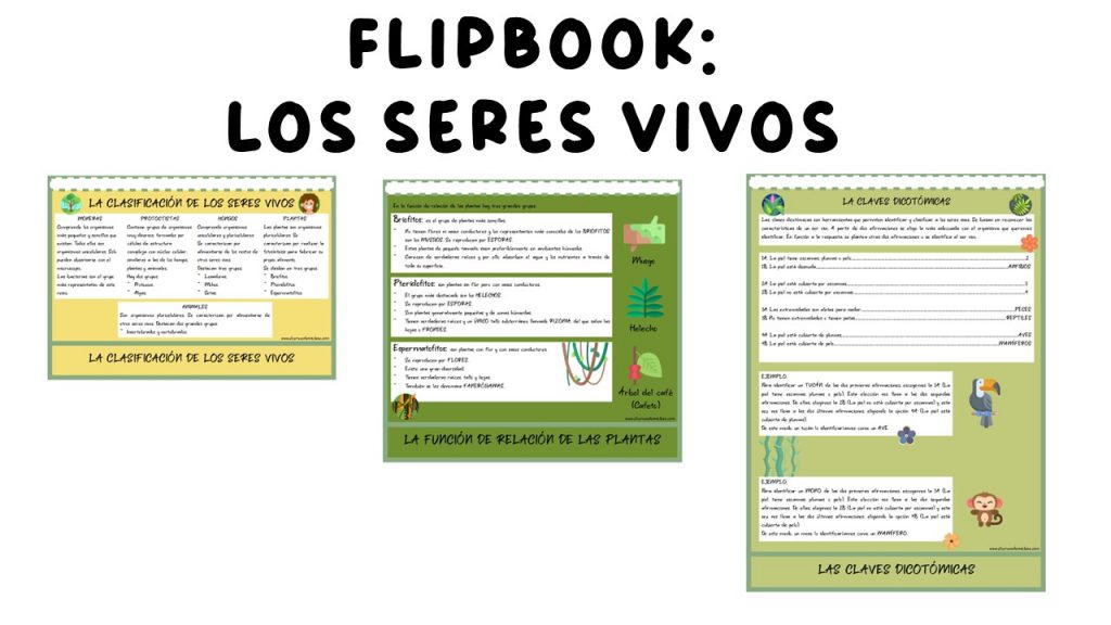 La educación científica es una parte fundamental del desarrollo de los estudiantes, ya que les proporciona las herramientas necesarias para comprender el mundo que les rodea. Uno de los campos […]