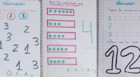 Las matemáticas son una parte fundamental del currículo escolar, incluso desde los primeros años de educación infantil. En este artículo, te presentamos un cuaderno guía diseñado especialmente para trabajar las […]