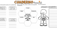 Los cuadernillos de repaso son una herramienta eficaz para afianzar los conocimientos adquiridos en lengua, matemáticas y conocimiento del medio durante el primer ciclo de primaria. En este artículo, exploraremos […]