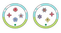 En Orientación Andújar, nos emociona presentar nuestro nuevo recurso educativo: ¡el Divertido Dobble de Flores de Primavera! Esta actividad está diseñada para proporcionar una experiencia de aprendizaje divertida y estimulante […]