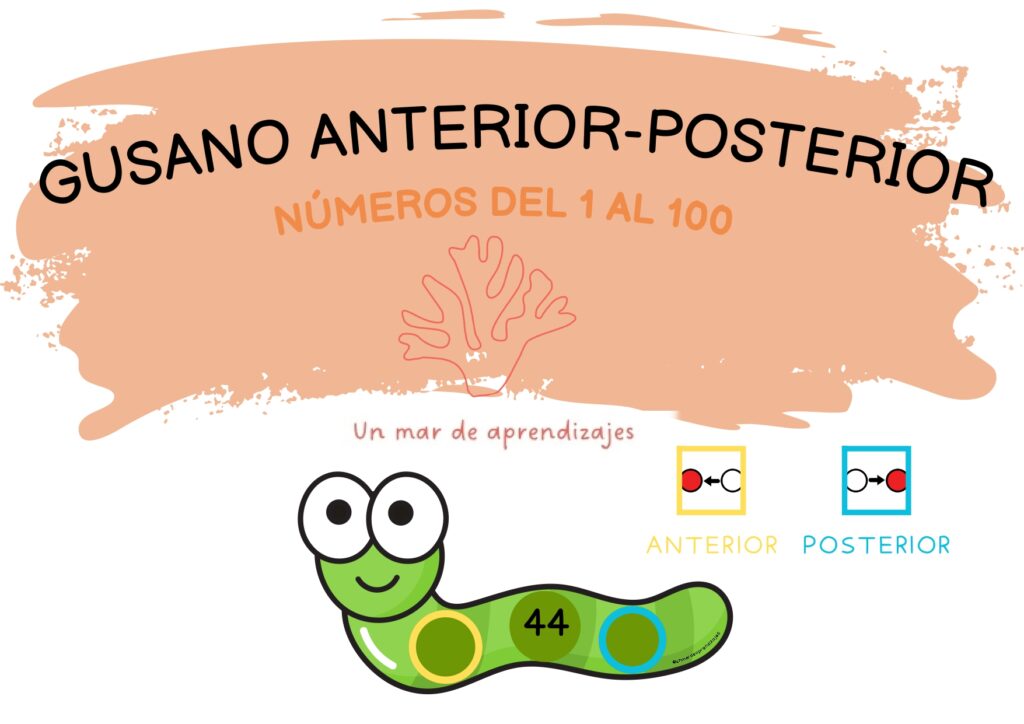Material manipulativo para trabajar el número anterior-posterior con los números del 1 al 100🐛 ¿Qué se trabaja con este material?– Identificación de números del 1 al 100.– Conocer cómo se […]