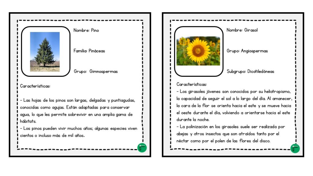 Las plantas con semilla son una fascinante parte de nuestro ecosistema y un tema de estudio importante en el currículo de ciencias para los estudiantes de secundaria. Para ayudar a […]