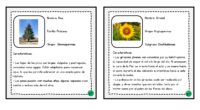 Las plantas con semilla son una fascinante parte de nuestro ecosistema y un tema de estudio importante en el currículo de ciencias para los estudiantes de secundaria. Para ayudar a […]