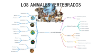 Repasar conceptos clave de biología puede ser más fácil y divertido con la ayuda de herramientas visuales. En Orientación Andujar, hemos creado un «Mapa Mental para Repasar los Animales Vertebrados», […]